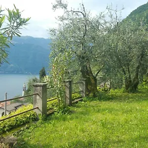 Gli Ulivi Di Ferienhaus Nesso